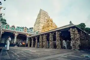 TGTDC introduces new Srisailam tour package