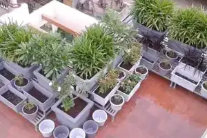 Urban areas embrace a green revolution
