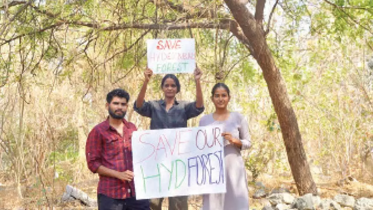 Activists campaign to protect Kancha Gachibowli’s green space
