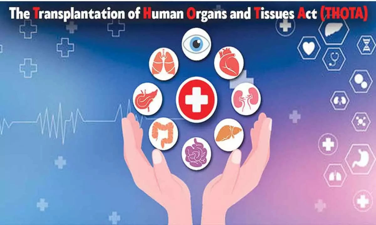 Boost for medical tourism as THOTA is adopted