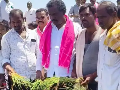 BRS Leader Basu Hanumanthu Naidu Criticizes Congress Govt for Ignoring Farmers, Urges Immediate Water Release in Jogulamba Gadwal