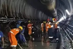 Cadaver dogs searching for trapped people