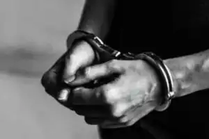 Cyberabad Police Arrest Three for Supplying 700 Kg of Fake Seeds to Farmers