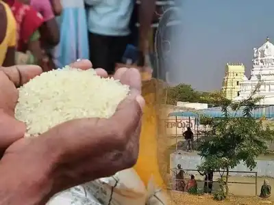 Fine Rice Scheme to Launch on Ugadi