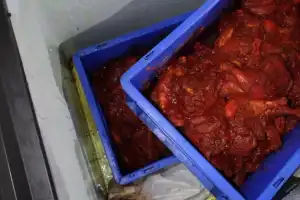 Food Safety Violations Discovered at Mandi 36 Arabian in Hyderabad