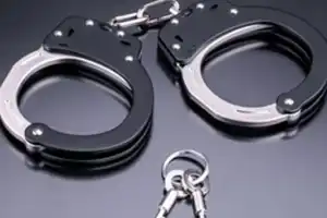 Gang Busted for Smuggling Fake Cotton Seeds Worth Rs 17.5 Lakh in Hyderabad