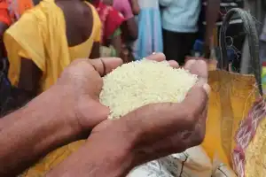Government to Start Distributing Fine Rice at Ration Shops Next Month