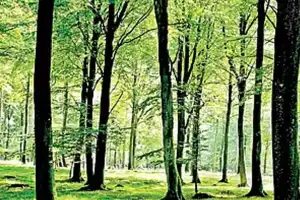 Hyderabad Residents Encouraged to Help Map Urban Wildlife in WWF-India’s Tree Survey