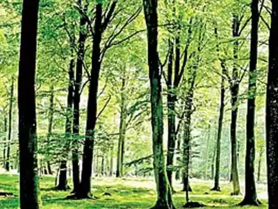 Hyderabad Residents Encouraged to Help Map Urban Wildlife in WWF-India’s Tree Survey