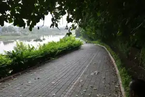Hyderabad to Convert 59 Blocks into Urban Parks for Greener Growth