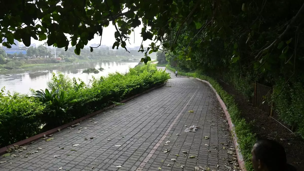 Hyderabad to Convert 59 Blocks into Urban Parks for Greener Growth