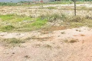 Nature Enthusiasts Protest Kancha Gachibowli Land Auction Over Biodiversity Concerns
