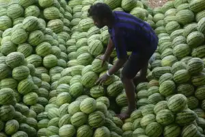Rising fruit prices in Hyderabad strain budgets this Ramzan