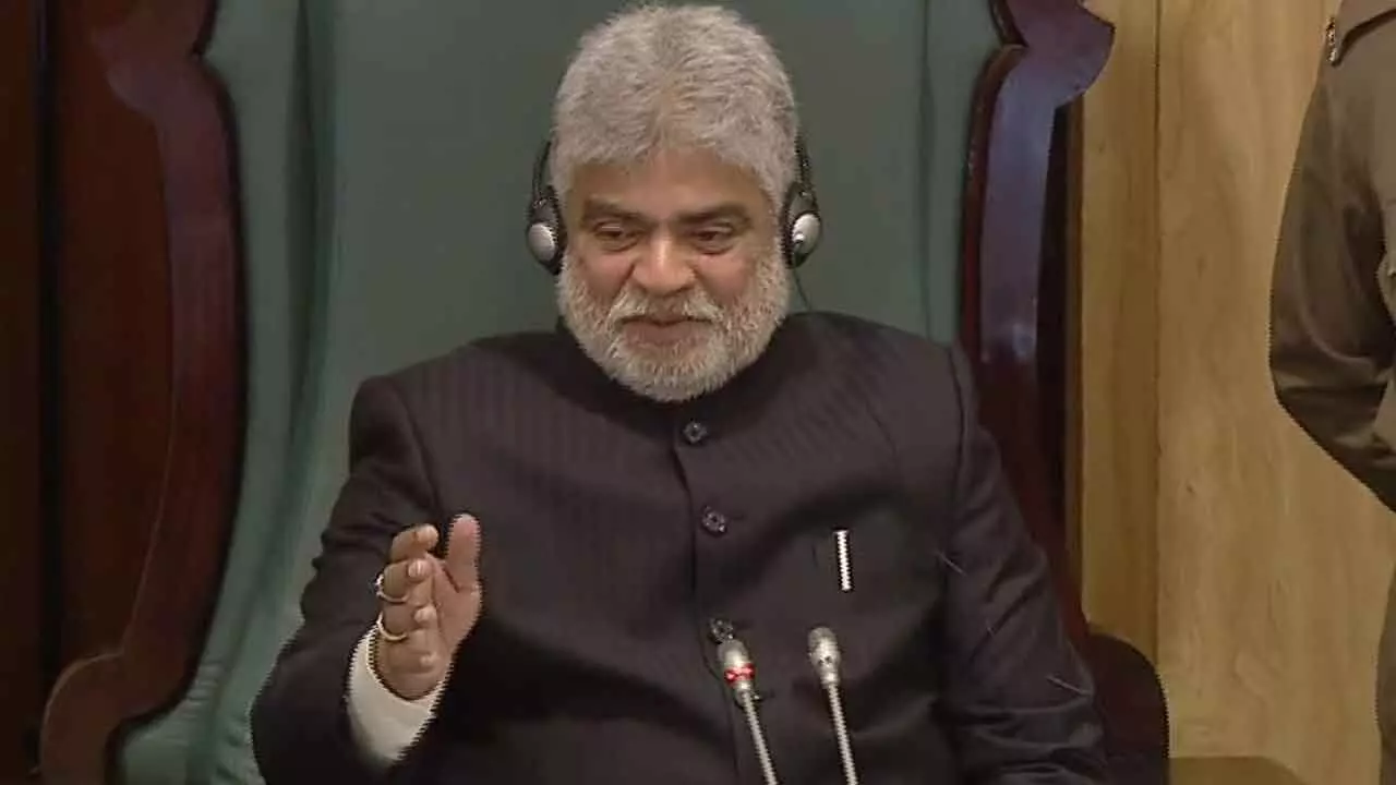 Speaker raises concerns about Conocarpus plants