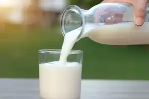 Telangana Dairy Farmers Struggle with Price Changes and Growing Losses