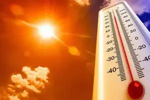 Telangana Sees Temperature Rise, Neradigonda Hottest at 41°C