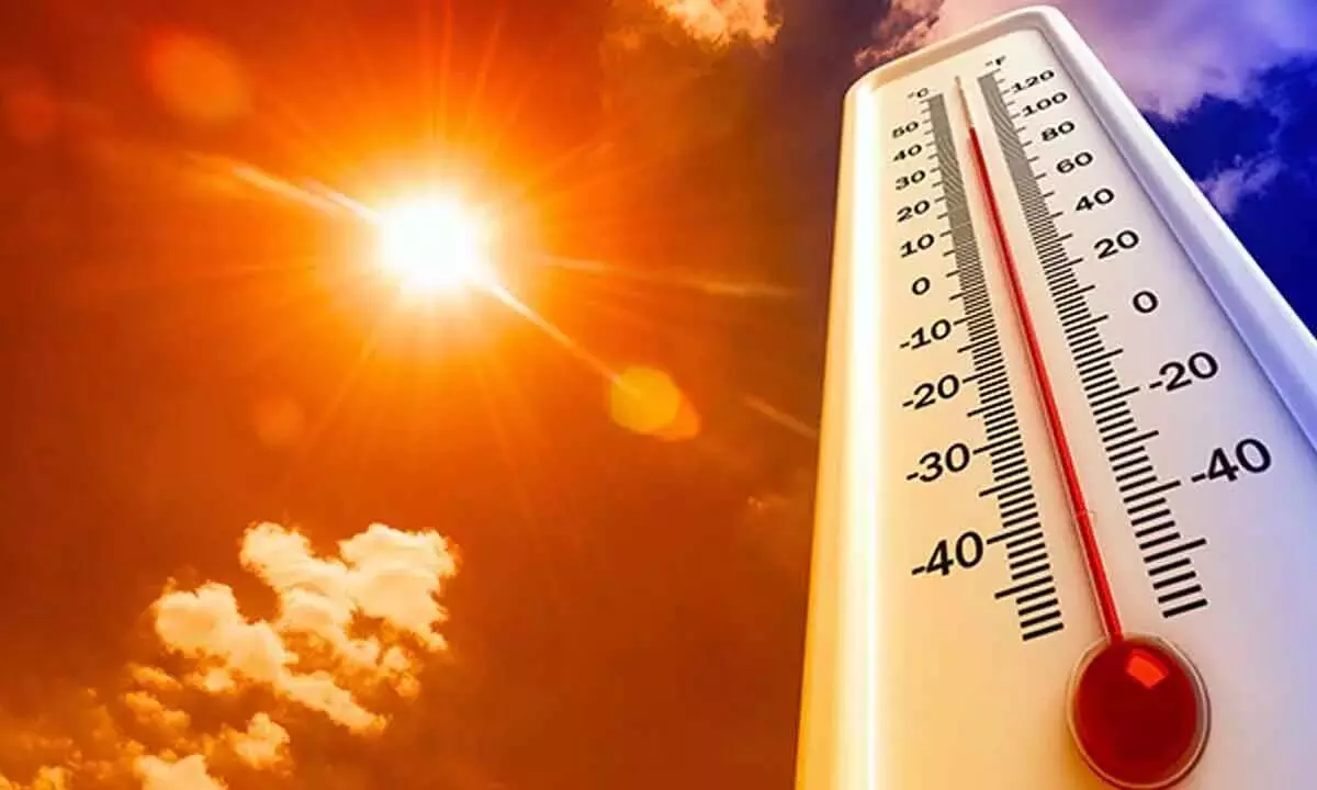 Telangana Sees Temperature Rise, Neradigonda Hottest at 41°C