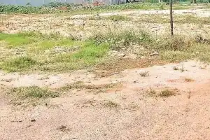 Terms auction of Kancha Gachibowli lands as unreasonable