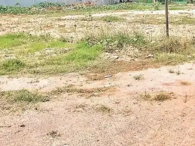 Terms auction of Kancha Gachibowli lands as unreasonable