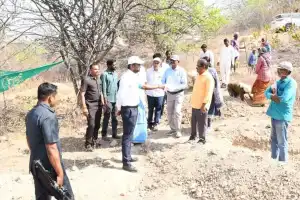 Wanaparthy collector urges power supply for farmers