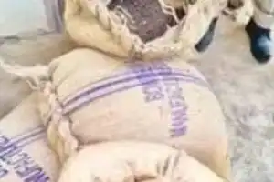 200 Kg of Fake Cotton Seeds Seized in Narayanpet District, One Person Arrested