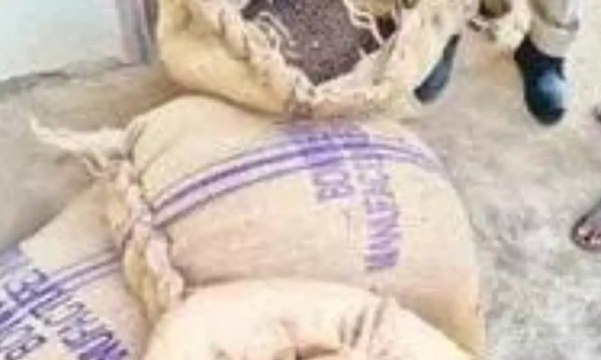 200 Kg of Fake Cotton Seeds Seized in Narayanpet District, One Person Arrested