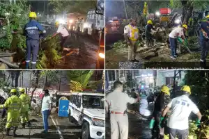 Sudden Heavy Rains Lash Hyderabad: Over 60 Trees Uprooted, DRF Teams Swing Into Action