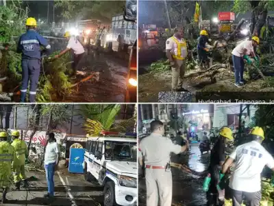 Sudden Heavy Rains Lash Hyderabad: Over 60 Trees Uprooted, DRF Teams Swing Into Action