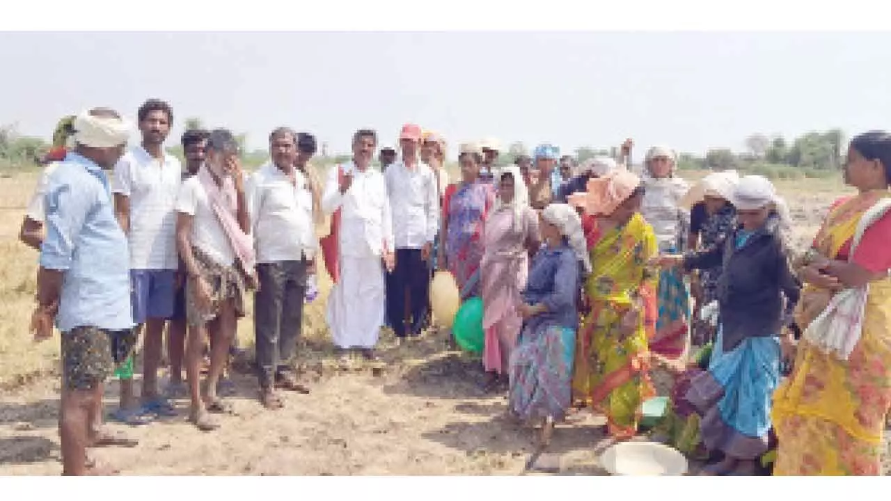 Authorities urged to take action against employers not providing pay slips