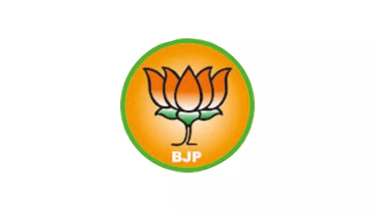 BJP to Decide on State Chief in May