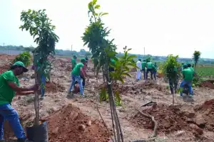 Brihaspathi Technologies Limited Employees Honor Padma Shri Daripalli Ramaiah by Planting Over 600 Trees