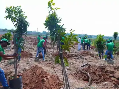 Brihaspathi Technologies Limited Employees Honor Padma Shri Daripalli Ramaiah by Planting Over 600 Trees