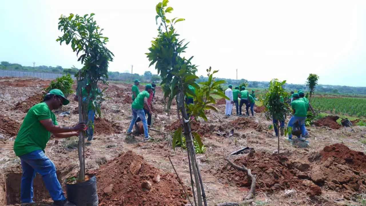 Brihaspathi Technologies Limited Employees Honor Padma Shri Daripalli Ramaiah by Planting Over 600 Trees