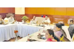 CEA chief promises support for Telangana power companies