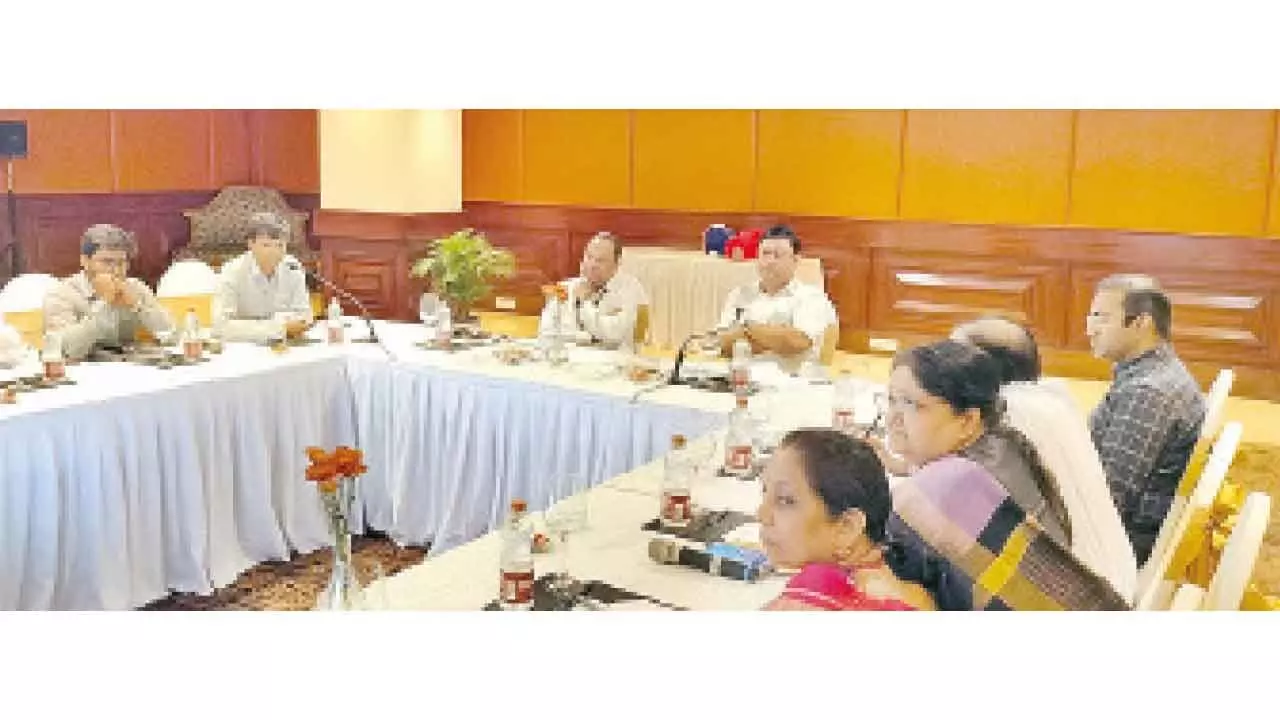 CEA chief promises support for Telangana power companies