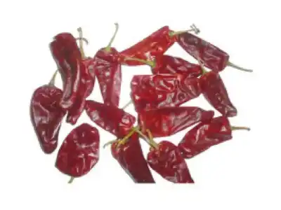 Chapata chilli from Warangal receives GI tag