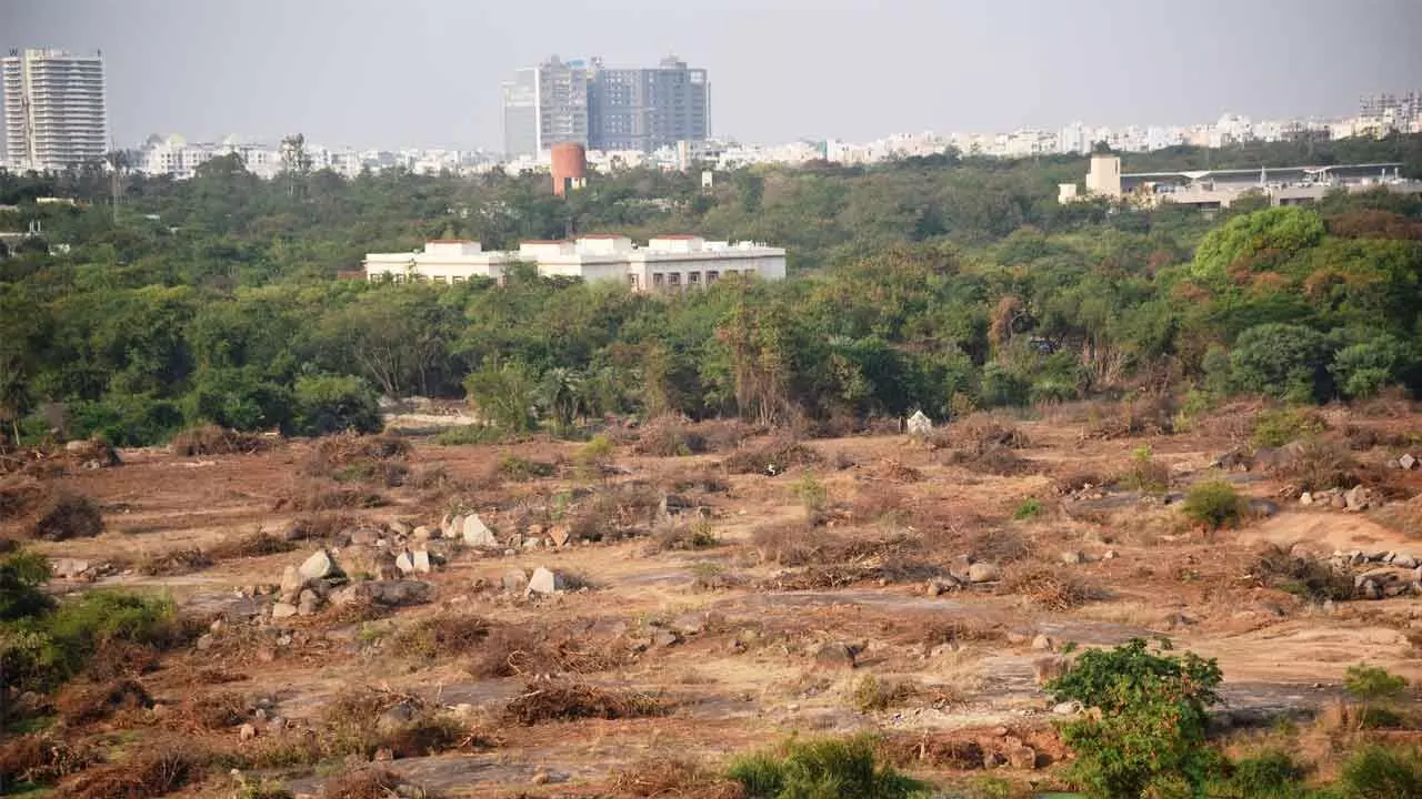 Deputy CM asks UoH Vice Chancellor to ensure peaceful campus