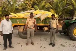 Fake Seed Scam Uncovered in Gadwal: 12 Quintals Seized, Officials Investigated
