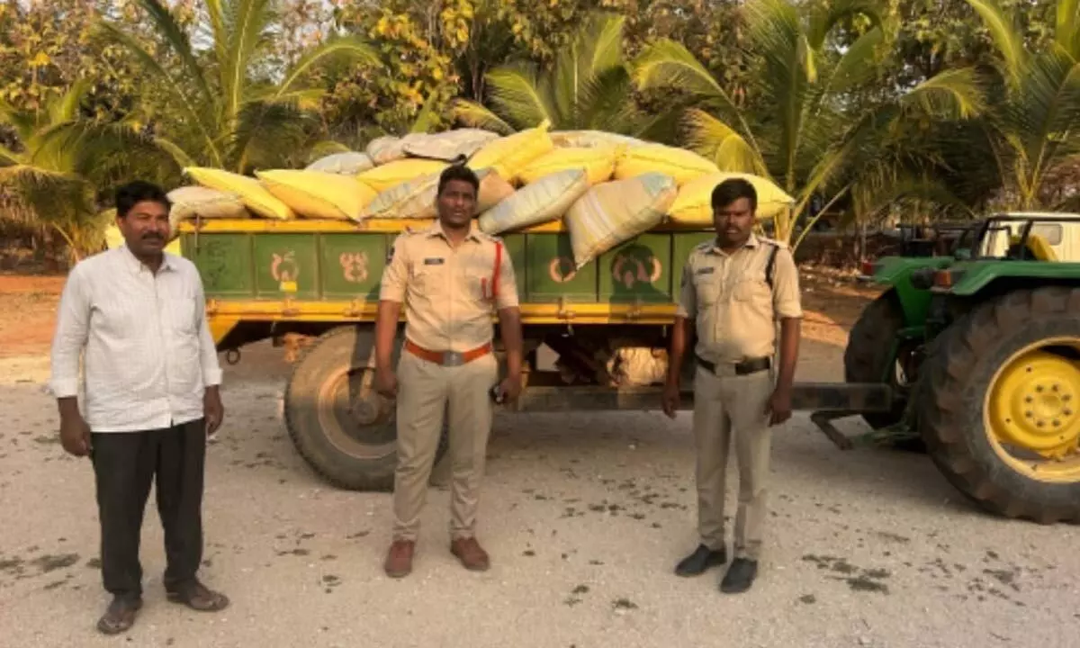 Fake Seed Scam Uncovered in Gadwal: 12 Quintals Seized, Officials Investigated