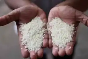 Fine rice supply brings relief to the common man