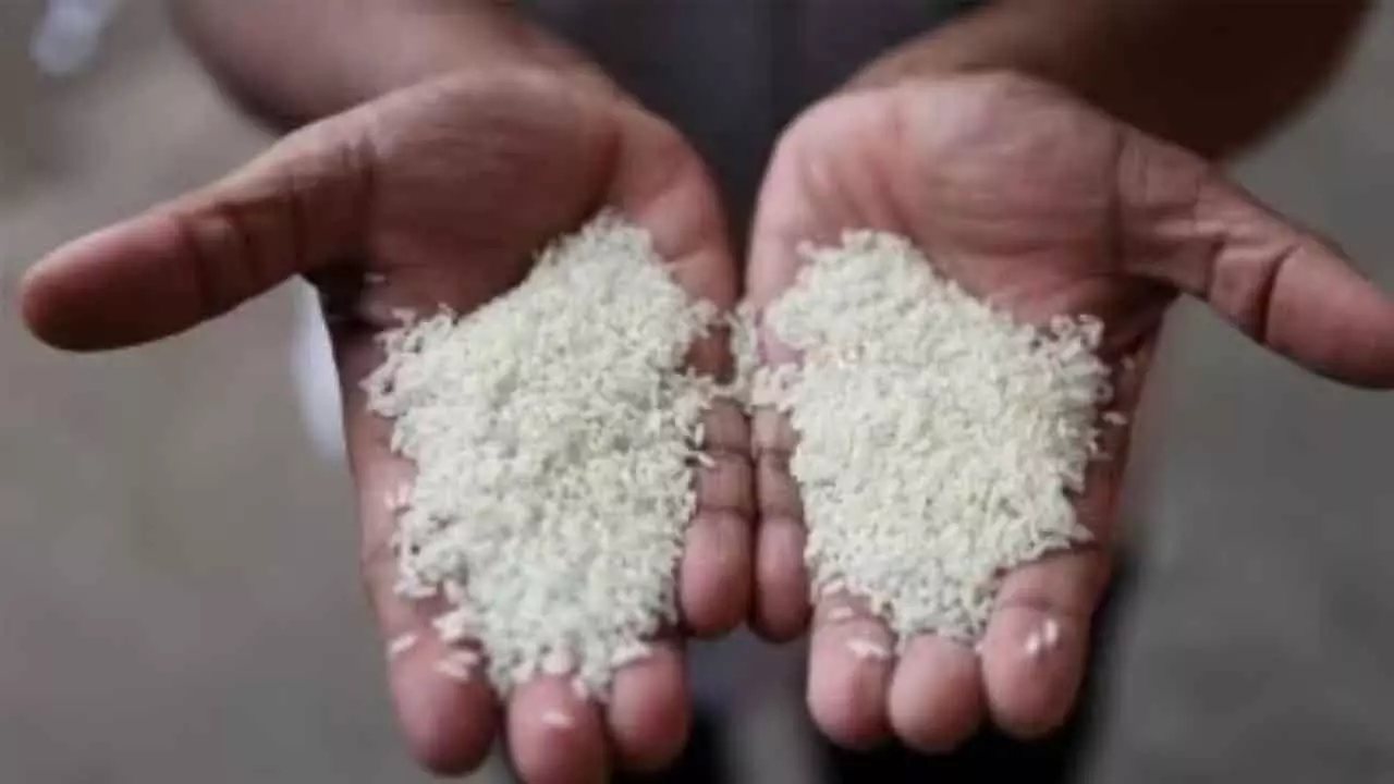 Fine rice supply brings relief to the common man