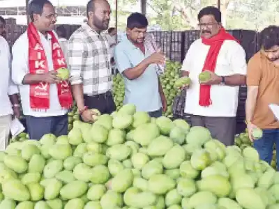 Fixing support prices for fruits and vegetables needed to help farmers