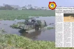 GHMC takes action and starts removing water hyacinth after issue is highlighted