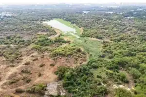 Government preparing strong case in land dispute
