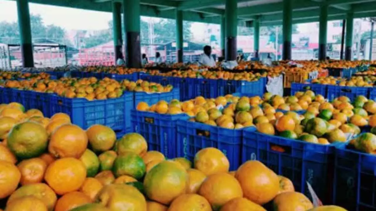 Government to take strict action against use of calcium carbide for fruit ripening