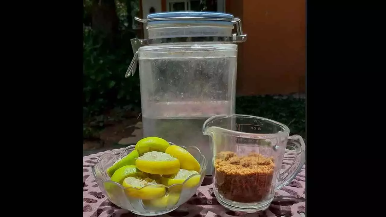 Hyderabad NGO to launch bio-enzyme campaign to protect Barla Kunta lake