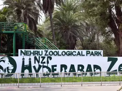 Hyderabad Zoo invites children to summer camp
