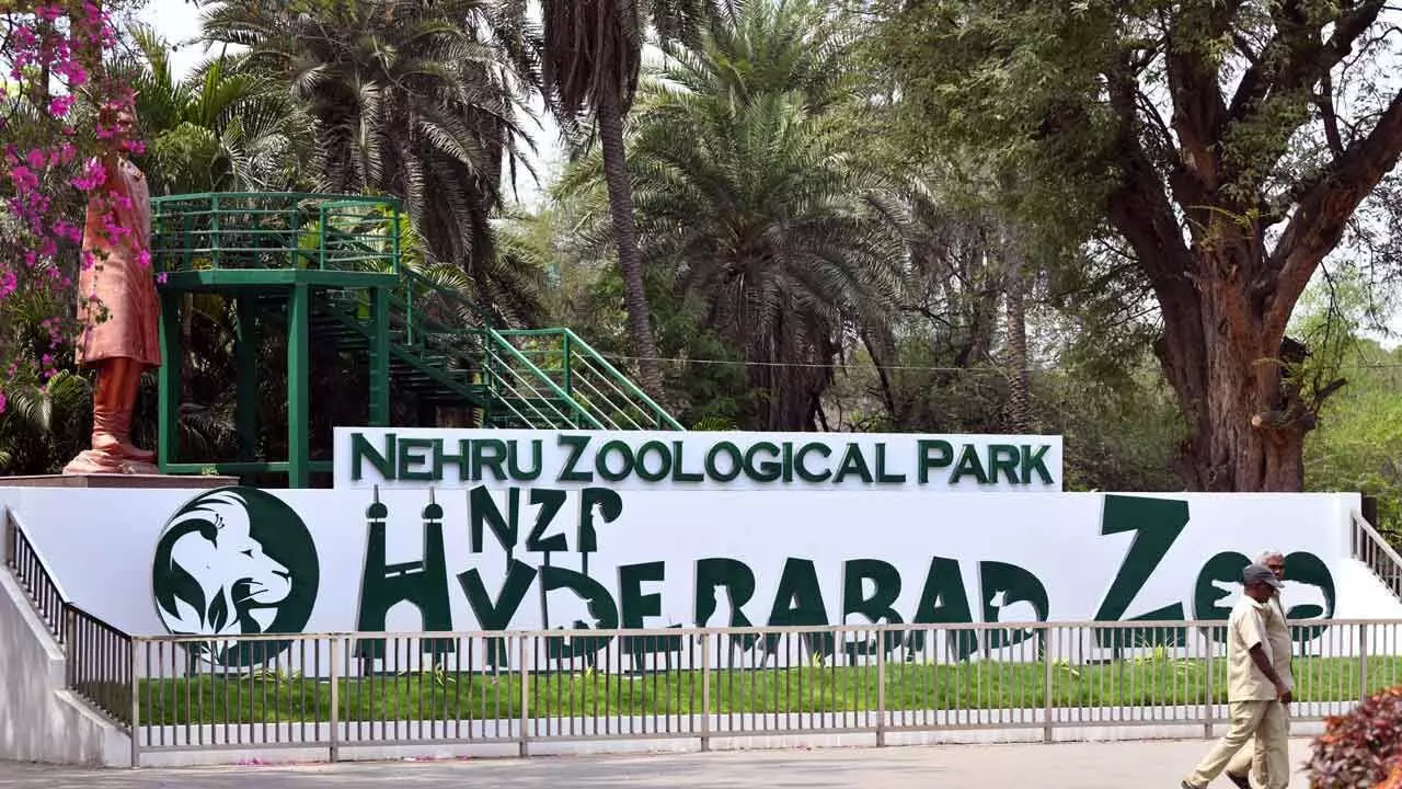 Hyderabad Zoo invites children to summer camp