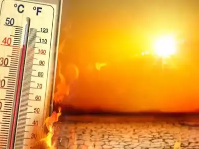 Intense heatwave to hit Telangana, red alert in northern districts