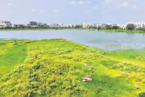 Kapra Lake Revival Group to hold sustainability program soon
